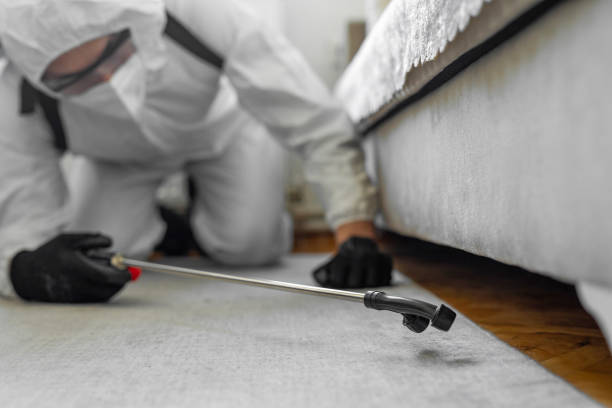Professional Pest Control technician working in Emigration Canyon, UT