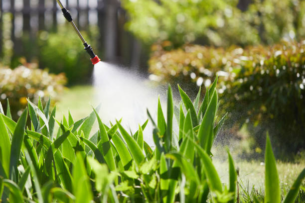 24/7 Emergency Termite Control experts in Emigration Canyon, UT