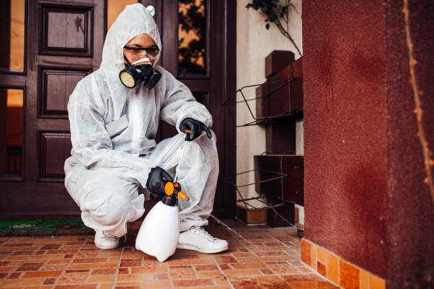 Reliable Termite Control contractor in Emigration Canyon, UT by Nex Pest Control