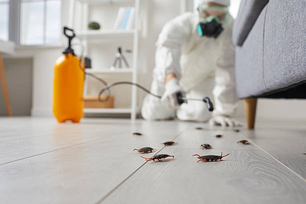 Trusted Cockroach Control service in Emigration Canyon, UT - Nex Pest Control